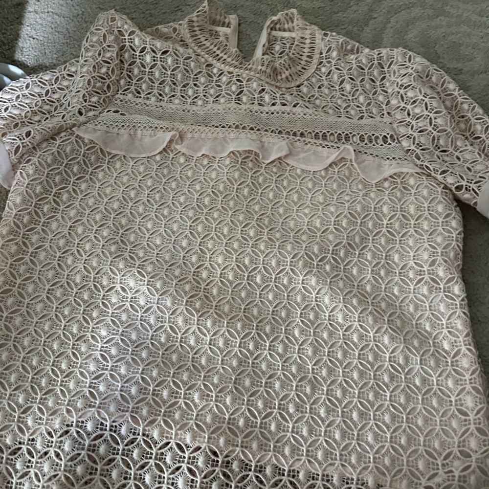 Zara Pink Lace Top with Ruffle Accent